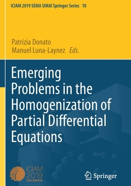 【预订】Emerging Problems in the Homogenization of Partial Differential Equations 9783030620325