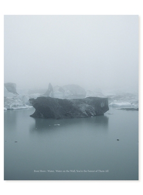 预订 Roni Horn: Water Water on the Wall, You’re the Fairest of Them All: 9780847875580