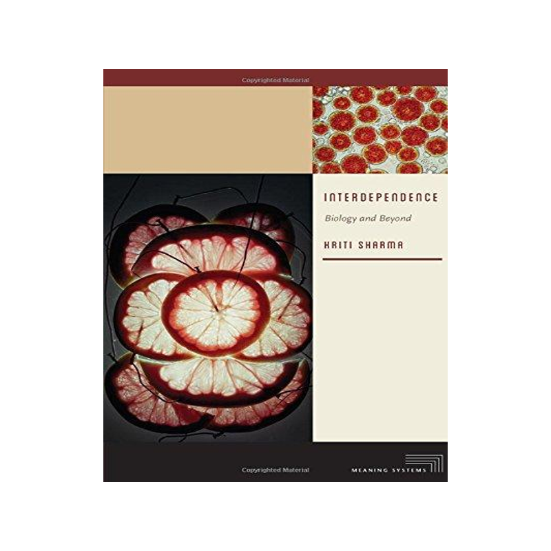 [预订]Interdependence 9780823265527