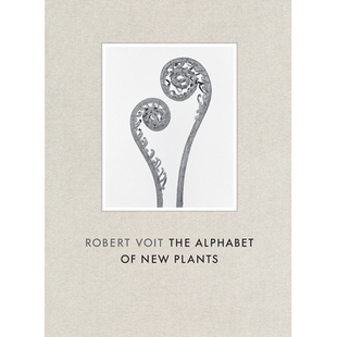 New 9783775740463 Voit 字母表 罗伯特·沃特：新工厂 Plants Alphabet The Robert 预订