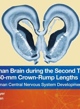 [预订]The Human Brain during the Second Trimester 96– to 150–mm Crown-Rump Lengths 9781032224619