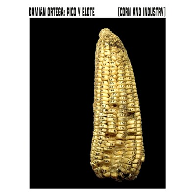 预订 Damián Ortega: Corn and Industry 达米安·奥尔特加：玉米和工业: 9788419233707