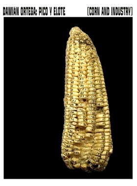预订 Damián Ortega: Corn and Industry 达米安·奥尔特加：玉米和工业: 9788419233707