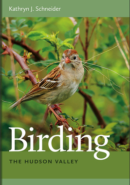 【预订】Birding the Hudson Valley 9781611687187