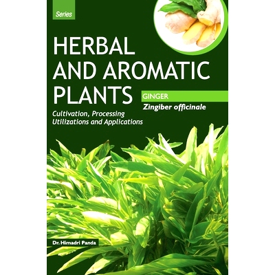 预订 HERBAL AND AROMATIC PLANTS - Zingiber officinale (GINGER): 9789350568163