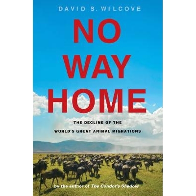 预订 No Way Home: The Decline of the World’s Great Animal Migrations: 9781559639859