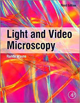 【预售】Light and Video Microscopy