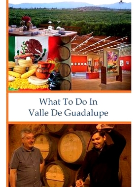预订 What To Do In Valle De Guadalupe: 9781939534347