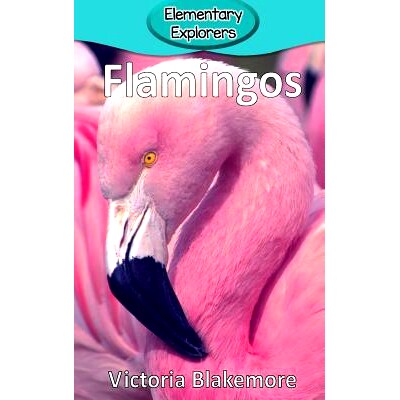 预订 Flamingos: 9780998824390