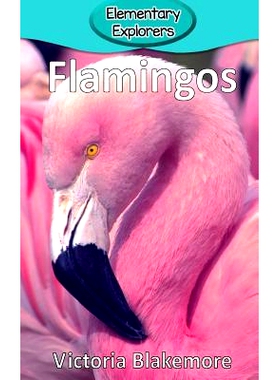 预订 Flamingos: 9780998824390