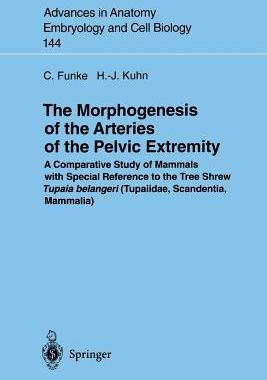 【预订】The Morphogenesis of the Arteries of the Pelvic Extremity