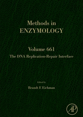 【预订】The DNA Replication-Repair Interface 9780323907330