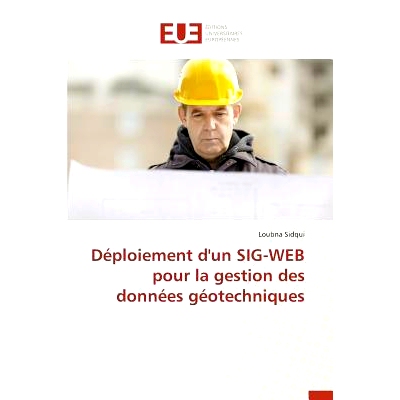 预订 Deploiement D’Un Sig-Web Pour La Gestion Des Donnees Geotechniques = Da(c)Ploiement D’Un Sig-Web Pour La Gestion