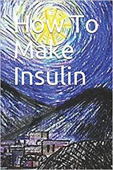 【预售】How to Make Insulin