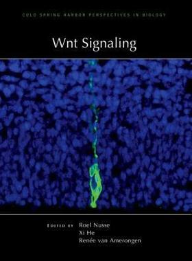 [预订]Wnt Signaling 9781936113231