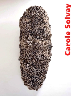 预订 Carole Solvay: To Move Without Noise 卡罗尔·索尔维：没有噪音的移动: 9780300246551