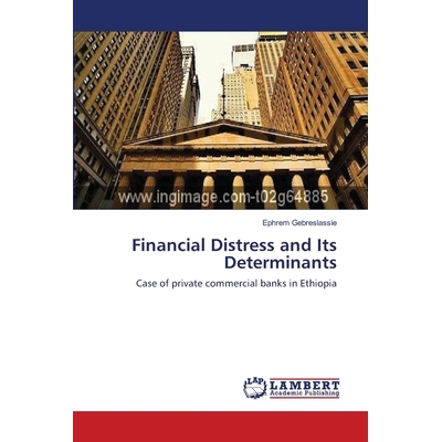 Case of private commercial banks in Ethi