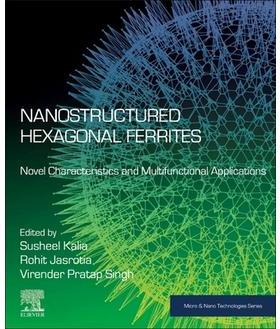 预订 Nanostructured Hexagonal Ferrites