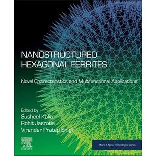 Ferrites Hexagonal 预订 Nanostructured