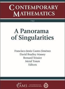 [预订]A Panorama of Singularities 9781470447922