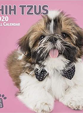 【预售】Shih Tzus 2020 Square Wall Calendar