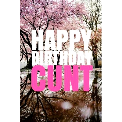 预订 HAPPY BIRTHDAY, CUNT! A fun, rude, playful DIY birthday card (EMPTY BOOK), 50 pages, 6x9 inches: 9781978042506