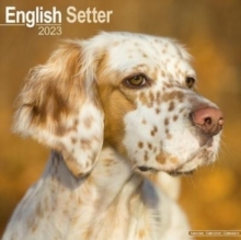 【预订】English Setter 2023 Wall Calendar 9781839417047