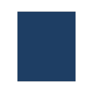 预订 Biochemistry of Brain and Behavior