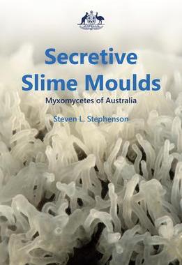 [预订]Secretive Slime Moulds 9781486314133