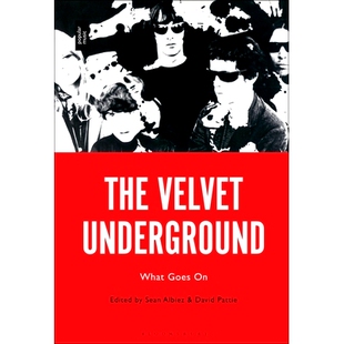 预订 The Velvet Underground: What Goes on 地下丝绒乐队：发生了什么: 9781501393907