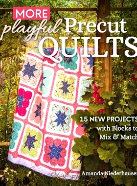 预订 More Playful Precut Quilts: 15 New Projects with Blocks to Mix & Match