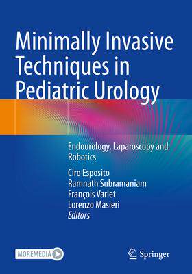 [预订]Minimally Invasive Techniques in Pediatric Urology 9783030992828 书籍/杂志/报纸 原版其它 原图主图