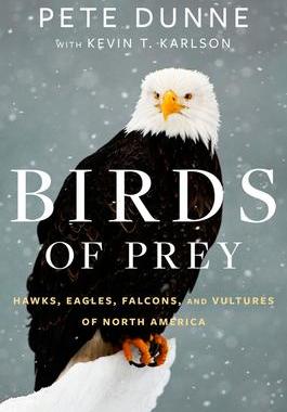 [预订]Birds of Prey: Hawks, Eagles, Falcons, and Vultures of North America 9780544018440