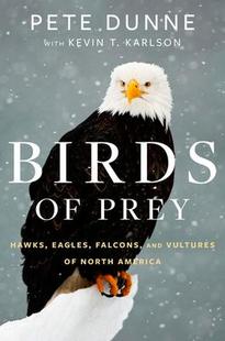 Falcons 预订 Hawks and America North Birds 9780544018440 Prey Vultures Eagles