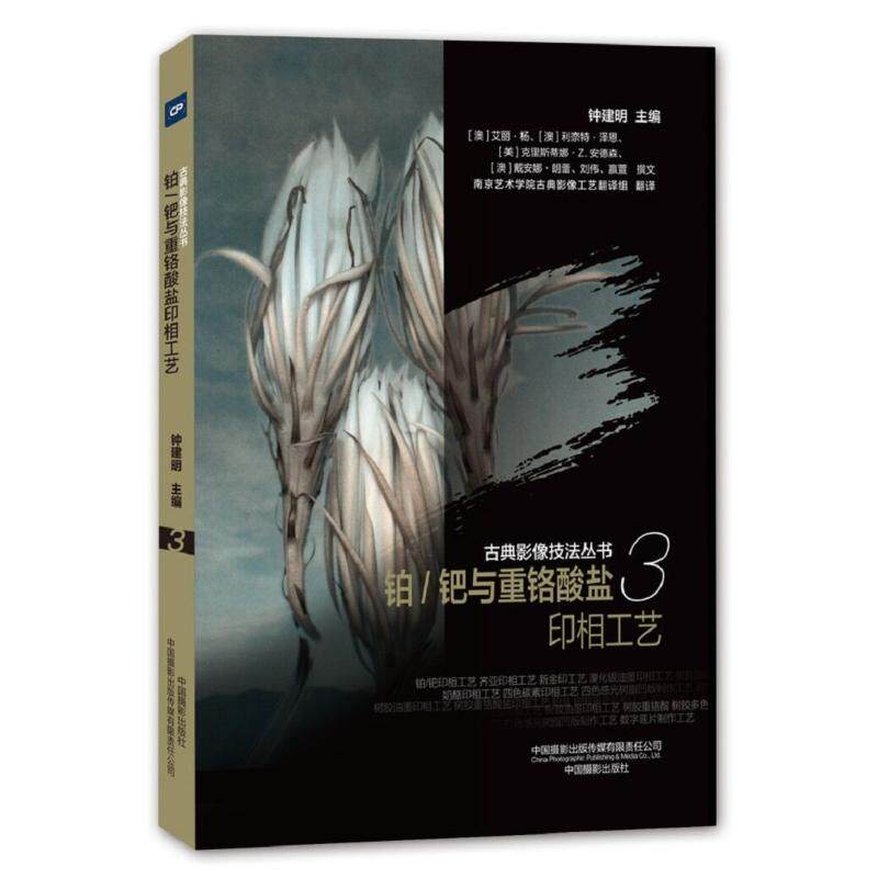 铂/钯与重铬酸盐印相工艺/古典影像技法丛书  9787517909149