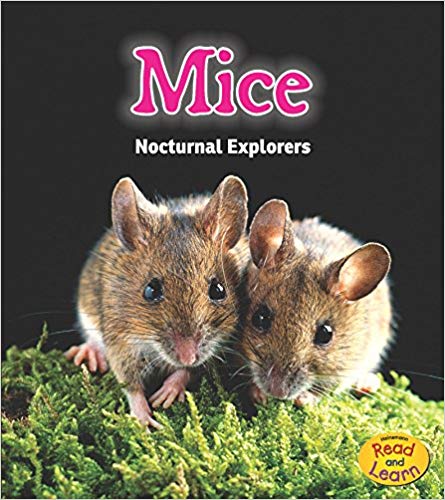 美国库房发货,通常付款后5-8周到货!