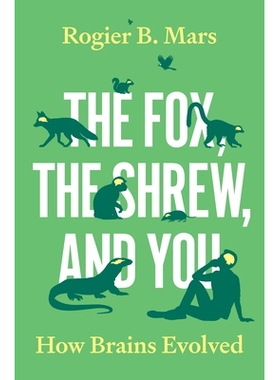 预订 The Fox, the Shrew, and You: How Brains Evolved 狐狸、鼩鼱和你：大脑是如何进化的: 9780691238920