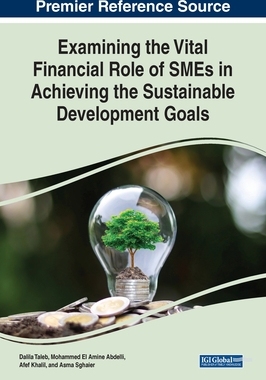 [预订]Examining the Vital Financial Role of SMEs in Achieving the Sustainable Development Goals