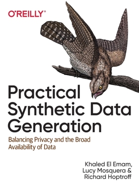 【预订】Practical Synthetic Data Generation: Balancing Privacy and the Broad Availability of Data