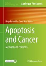 【预订】Apoptosis and Cancer 9781071625521