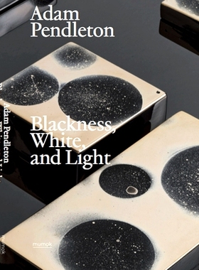预订 Adam Pendleton: Blackness, White, and Light 亚当·彭德尔顿 (Adam Pendleton)：黑色、白色和光: 9783753303383