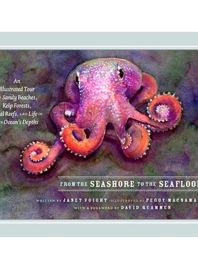 预订 From the Seashore to the Seafloor: An Illustrated Tour of Sandy Beaches, Kelp Forests, Coral Reefs, and Life in the