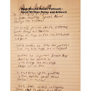 Rozen Pettinelli and Mark Artwork Notes Xiornik Written 预订 Hand