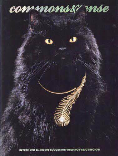 国外库房发货，通常付款后5-8周到货！