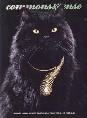 [预订]commons & sense EX.ISSUE05(2023AUTUMN) 9784309922676