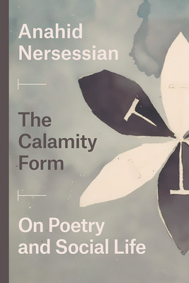 【预订】The Calamity Form 9780226701318