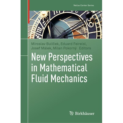 预订 New Perspectives in Mathematical Fluid Mechanics 数学流体力学的新展望 9783032023186