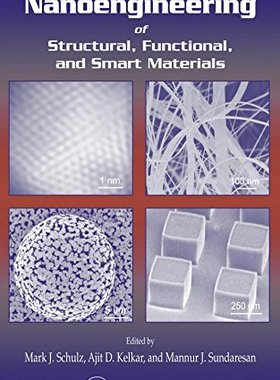 【预订】Nanoengineering of Structural, Functional and Smart Materials