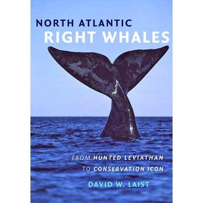 预订 North Atlantic Right Whales: From Hunted Leviathan to Conservation Icon 北大西洋露脊鲸：从被捕杀的庞然大物到保护偶