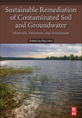 【预订】Sustainable Remediation of Contaminated Soil and Groundwater
